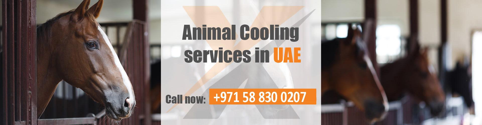 Animal Cooling